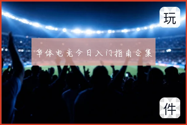 华体电竞今日入门指南合集